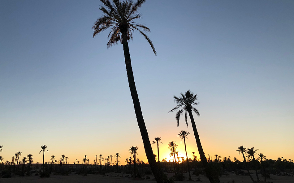 De l’aventure et de l’adrénaline